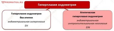 Климакс гиперплазия