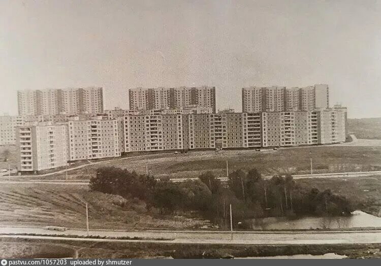 Ясенево pastvu. Ясенево в 1976 году. Ясенево (район Москвы) 80е. Ясенево 80-е. Покажи ясенево