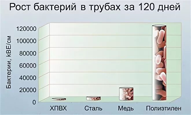 12000 дней