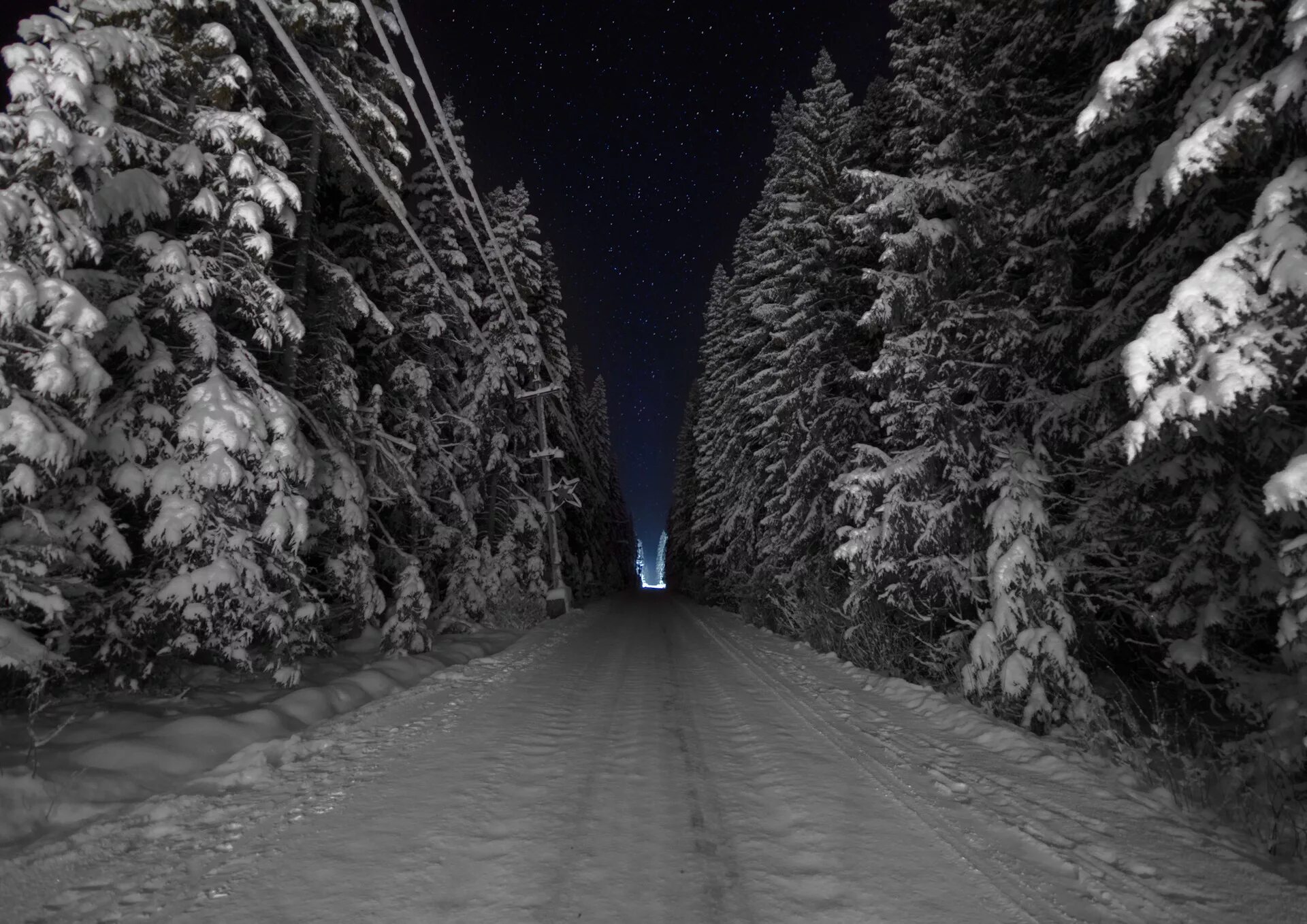 Зимняя дорога. Лес снег ночь. Зимний лес ночью. Заснеженная дорога в лесу. Темнота раннего зимнего