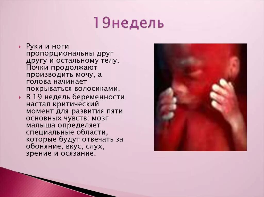 Ощущение 19 недель