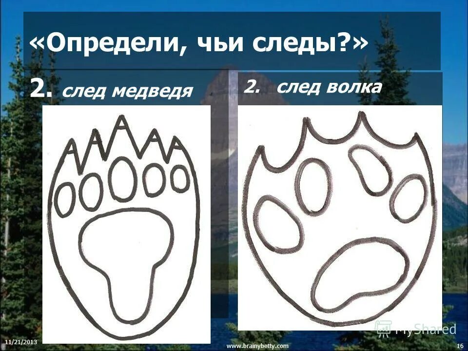 Лисьи следы прилагательное