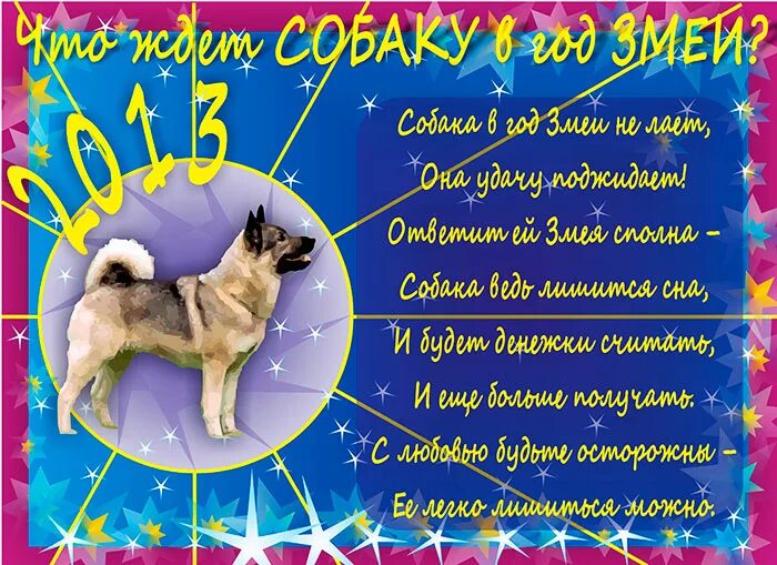 какие люди родившиеся в год собака. 2018 год по восточному гороскопу. года собаки по гороскопу. характер людей родившихся в год собаки. китайский гороскоп год собаки.