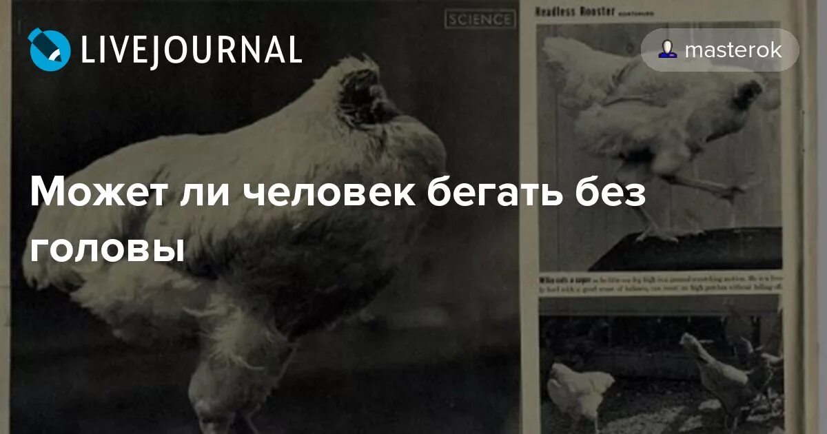 Карлос родригес пол головы. Ахад исрафил афроамериканец. Без мозга человек может прожить. Человек без головы в реально жизни. Человек без половины головы.