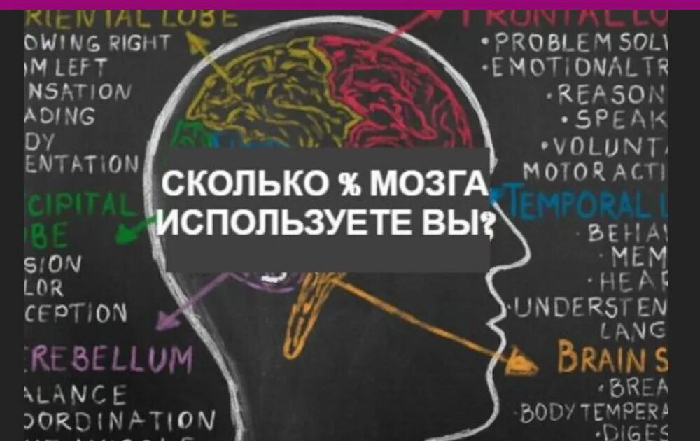 На сколько изучен мозг. Процент работы человеческого мозга. Насколько изучен человеческий мозг. Процент использования мозга человеком. Насколько задействован мозг человека.