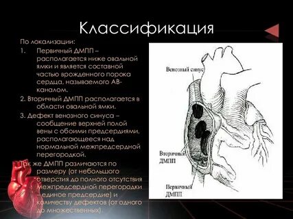Клинические рекомендации дмпп