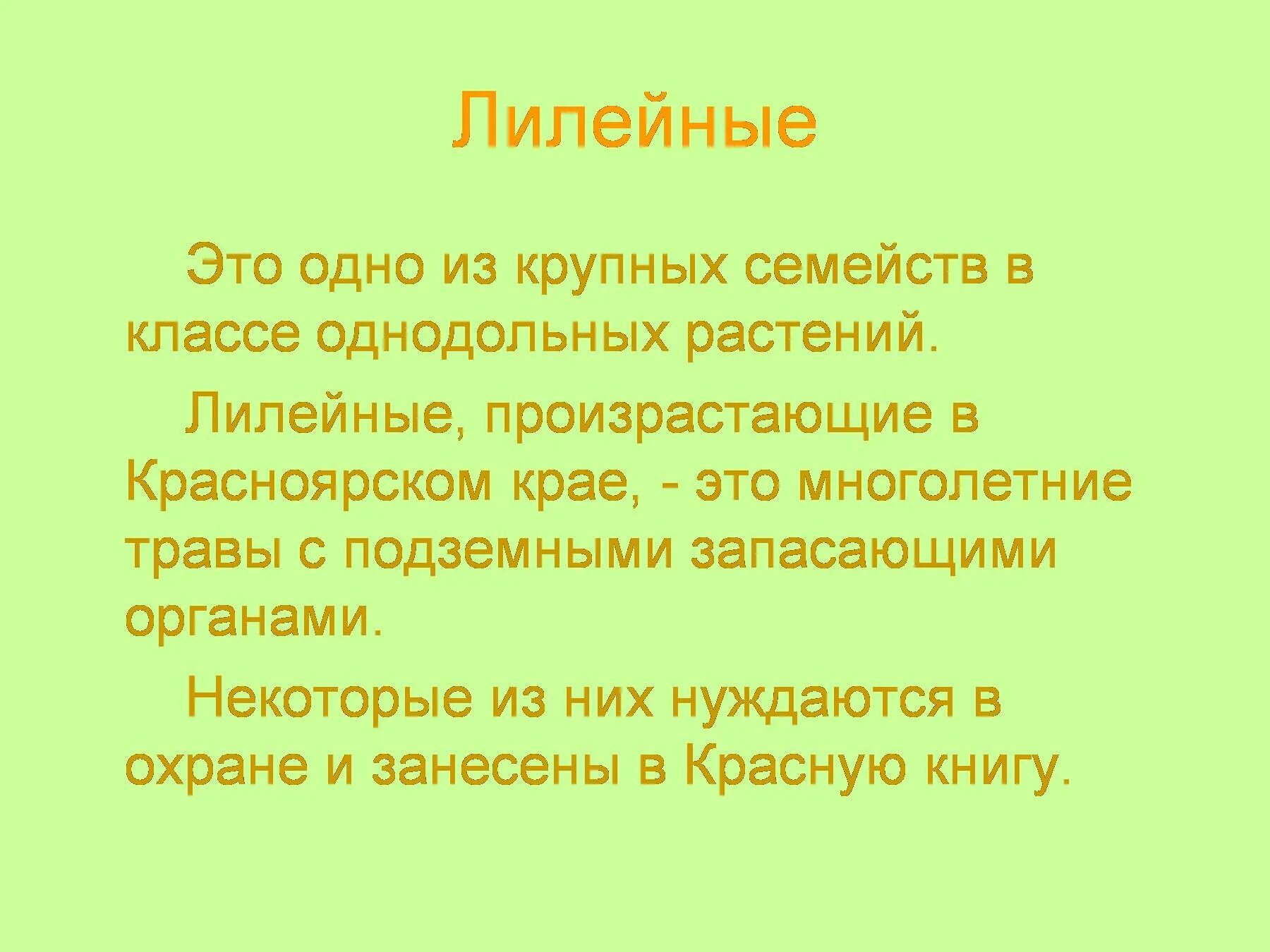 Каково значение семейства лилейных в жизни человека. Значение лилейных растений. Семейство Лилейные значение. Семейство Лилейные презентация. Презентация на тему Лилейные.