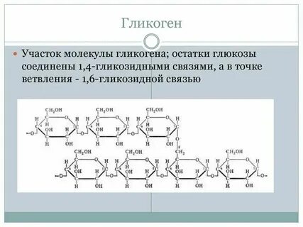 Биологическая роль крахмала