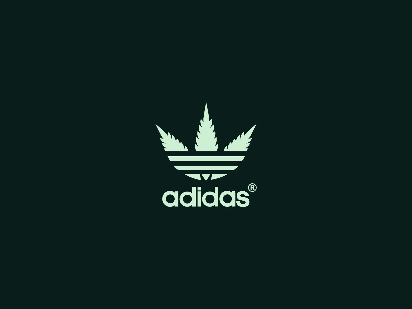 Adidas logo. Адидас канабис. Логотип адидас канабис. Logo marijuana adidas. Адидас вк