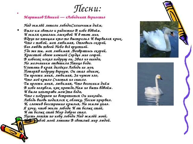 Песня со словом лебедь. Лебединая верность слова. Лебедь белая текст. Лебединая верность песня. Текст песни лебеди.