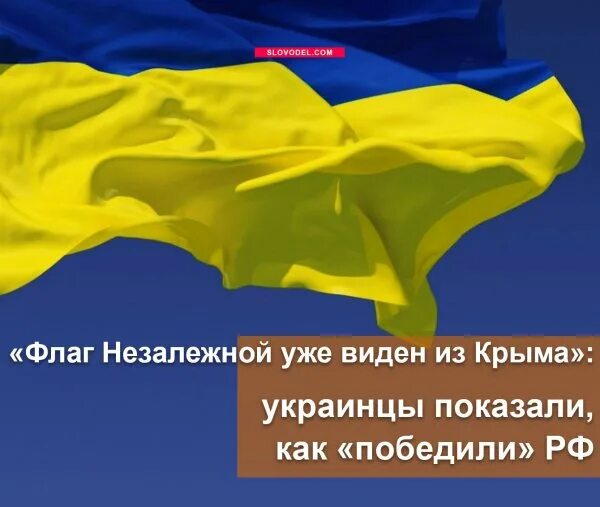 Что значит незалежная украина. Незалежная Украина. Флаг Незалежной. Новый флаг Незалежной. Незалежная что это.
