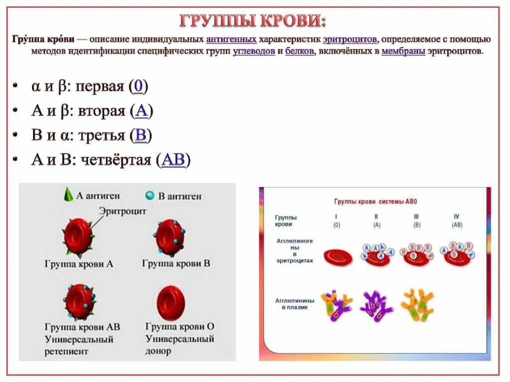 Белки эритроцитов определяющие группу крови. Описание индивидуальных антигенных характеристик эритроцитов. Белки эритроцитов определяющие группу крови называются. С помощью эритроцитов узнают группу крови. Группы крови содержание белков