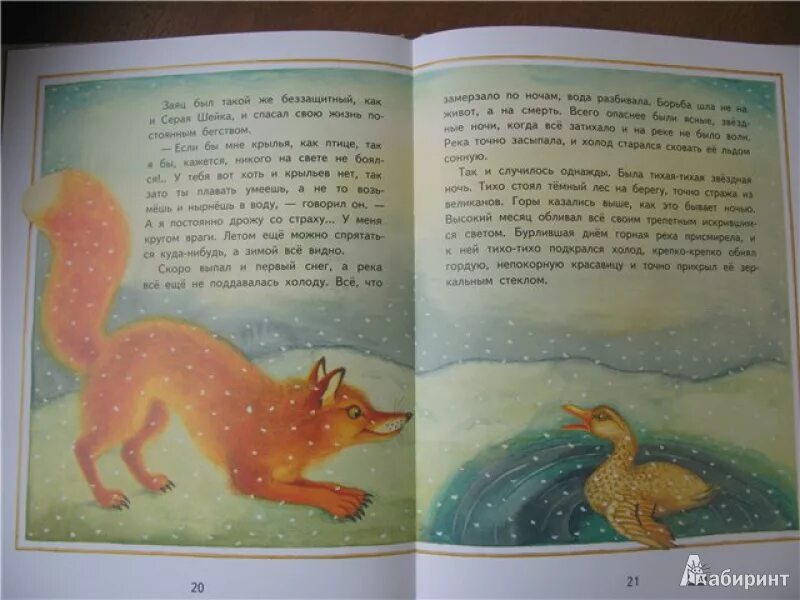 Сочинение по картине серая шейка 3 класс. Рассказ серая шейка. серая шейка дмитрий мамин-сибиряк. план серая шейка 3 класс. план серая шейка мамин сибиряк.