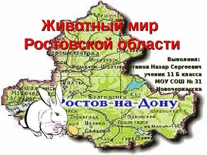 Ростовская область окружающий мир 3 класс