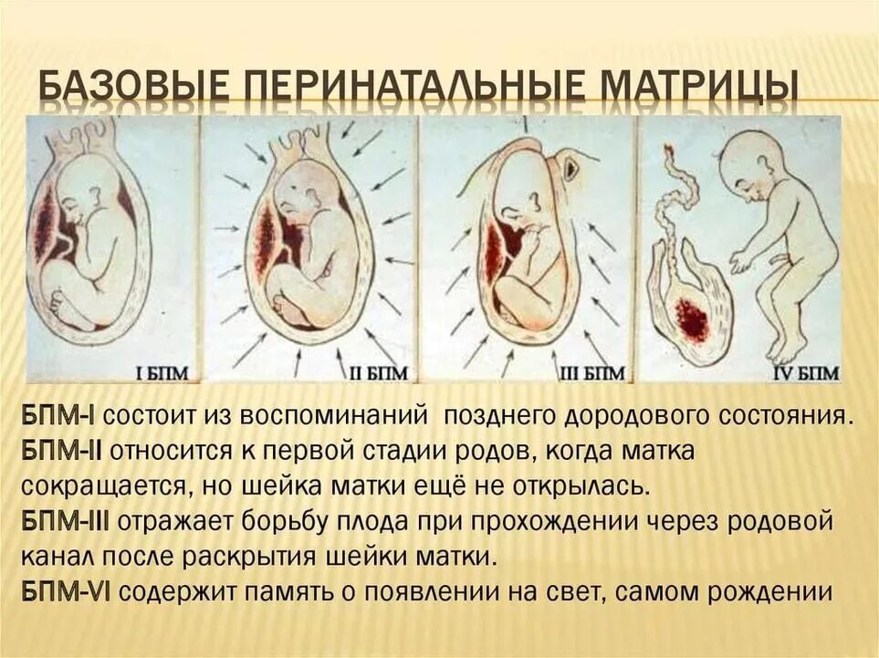 Перинатальная матрица Грофа таблица. Базовые перинатальные матрицы Грофа. Четыре перинатальные матрицы Грофа. Теория Грофа о перинатальных матрицах. Путь ребенка во время родов