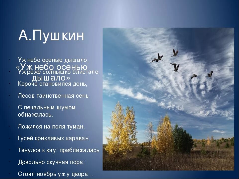 Пушкин стих уж небо осенью. Уж небо осенью дышало. Стих Пушкина уж небо осенью дышало. Иллюстрация к стиху Пушкина уж небо осенью дышало. Уж небо осенью.