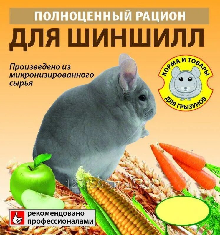 Чем можно кормить шиншиллу. Рацион шиншиллы. рацион питания шиншиллы. рацион шиншилл в домашних. чем кормить шиншиллу.