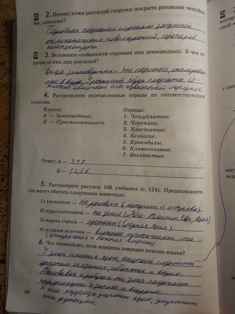 Тесты по биологии 7 класс латюшин. Тест земноводные 7 класс. Тетрадь по биологии 7 класс зеленая. Контрольная работа по биологии 7 класс амфибии. Тест по амфибиям 7