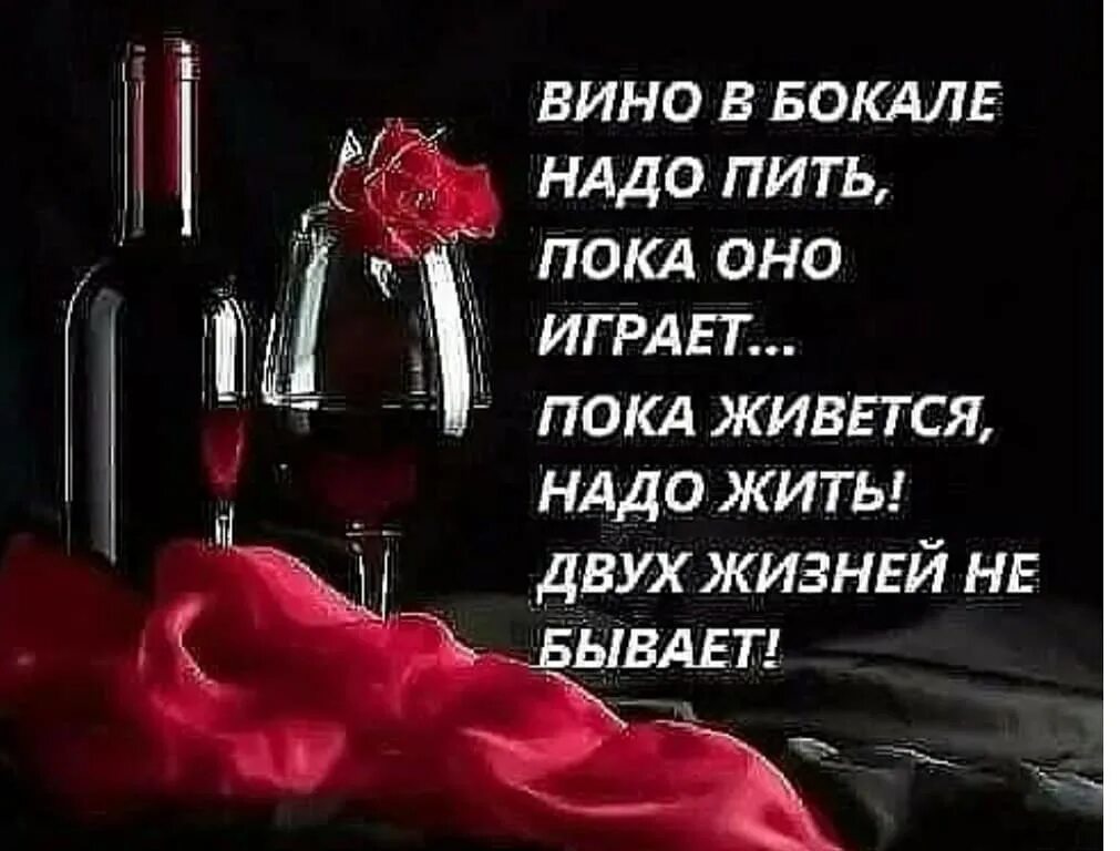 Пить цитаты. Красивые стихи о вине. красивые фразы про вино. вино в бокале надо пить пока оно играет. стихи про вино.