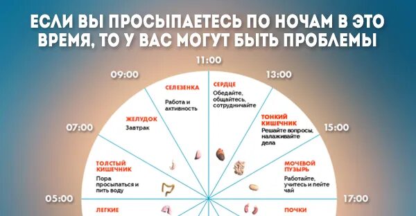 Почему часто просыпаешься без причины. Энергетические часы. Энергетические часы нашего организма. Пробуждение ночью по часам причины. Работа нашего организма.