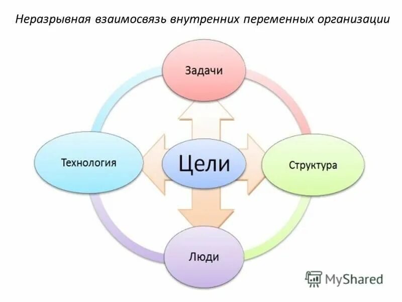 Основные переменные организации