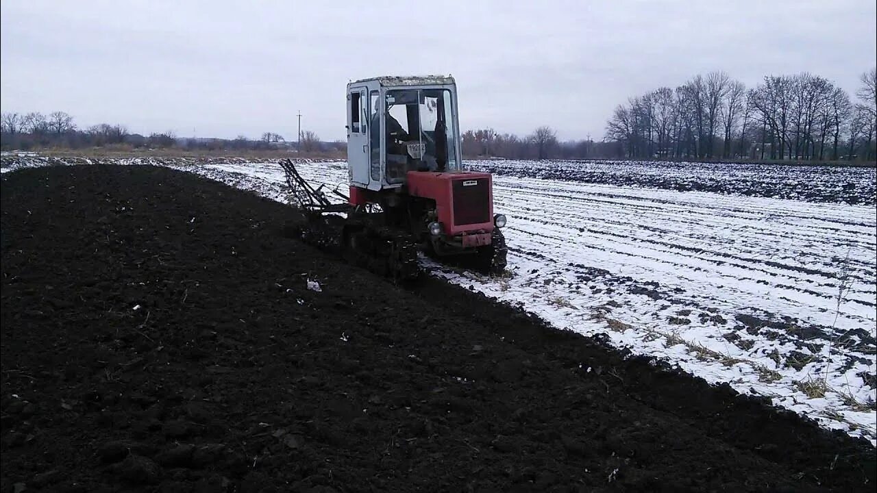 Какое давление на почву оказывает гусеничный трактор. Посадка тыквы трактором. Подготовка семян тыквы трактором. Т 70 на прибивке влаги. Подготовка посадка тыквы с трактором.