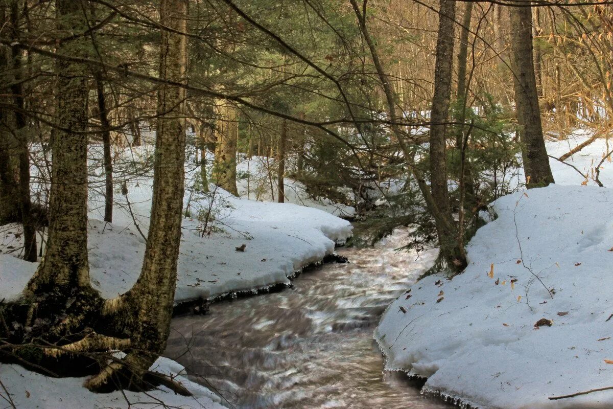 Зимний ручей. Зимний ручей в лесу. Ручей зимой в лесу. Ручеек зимой.