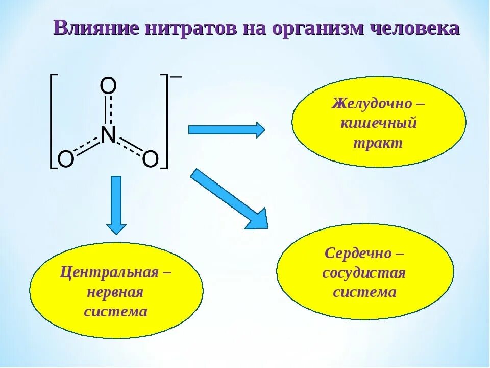 Синтез нитратов. Действие нитратов на организм человека. Влияние нитратов на организм человека. Влияние нитратов на человека. Влияние нитратов и нитритов на организм.