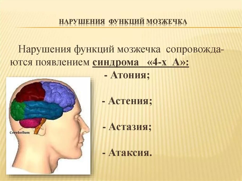 Функции мозжечка. Нарушения мозжечка. Расстройство функции мозжечка. Нарушенные функции мозжечка.