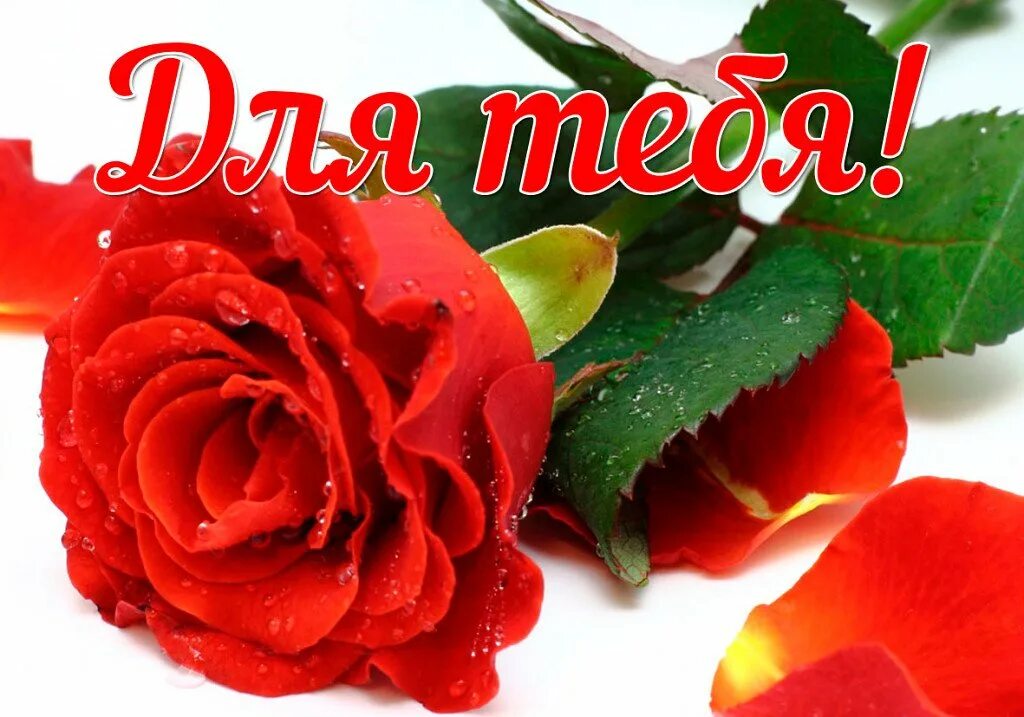 Цветы с комплиментами для девушки. Открытки с комплиментами женщине. Открытки. Красотка открытка комплимент. Открытка комплименты.