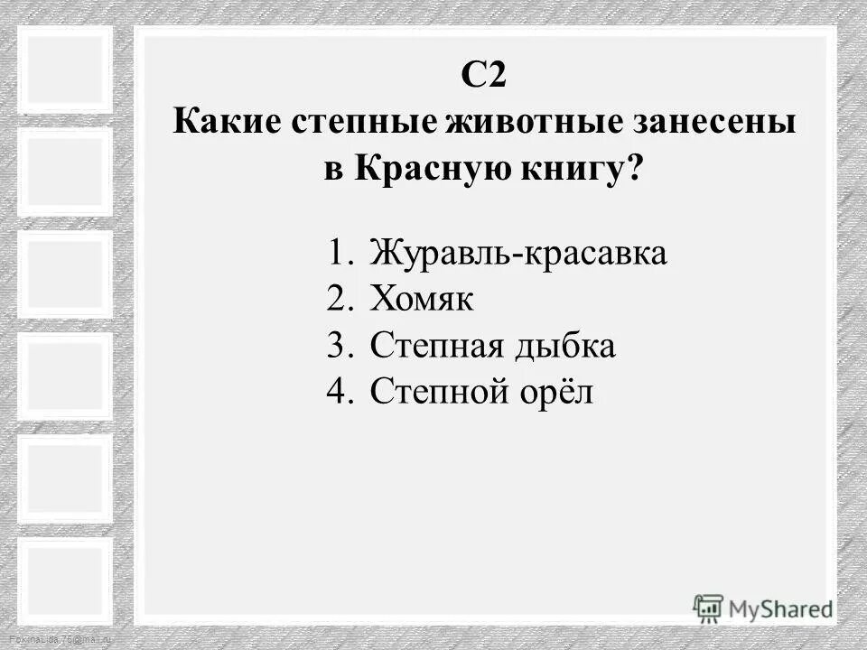 степи вывод. степи без конца и края. куда ни глянь- до самого края неба простирается гладкая равнина. ковыль картина. степная зона россии.