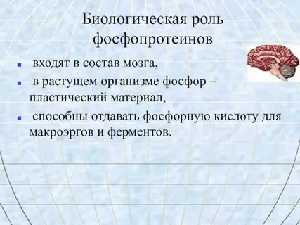 Пол биологическая роль