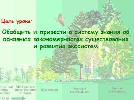 Цель экосистемы