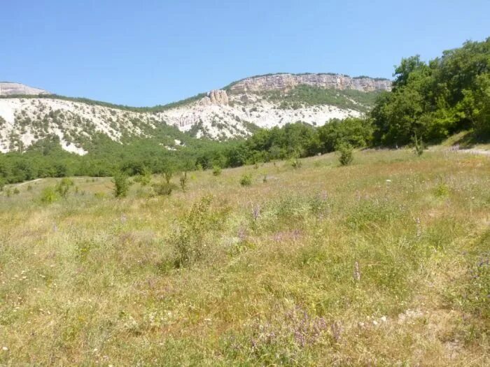 Бахчисарай куйбышево чер. Школа в куйбышево бахчисарайского района. Автостанция куйбышево бахчисарайский район. Село высокое бахчисарайский район. Погода в куйбышеве бахчисарайском районе крыма.