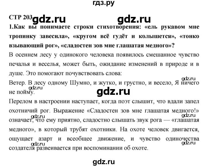 Литература 8 класс стр 206. Литература 6 класс страницы. Литература 6 класс стр 203.