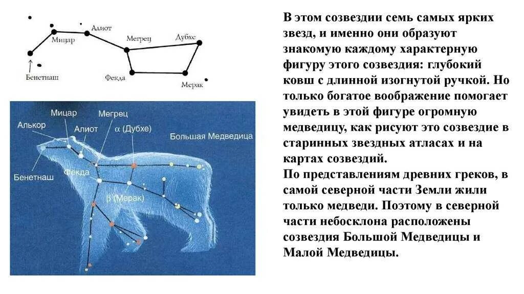 Большая Медведица Созвездие самая яркая звезда. Созвездие большая Медведица и малая Медведица. Рассказ о созвездии большая Медведица для 2 класса. Созвездие большая Медведица для детей 2 класса. Почему созвездие большая медведица