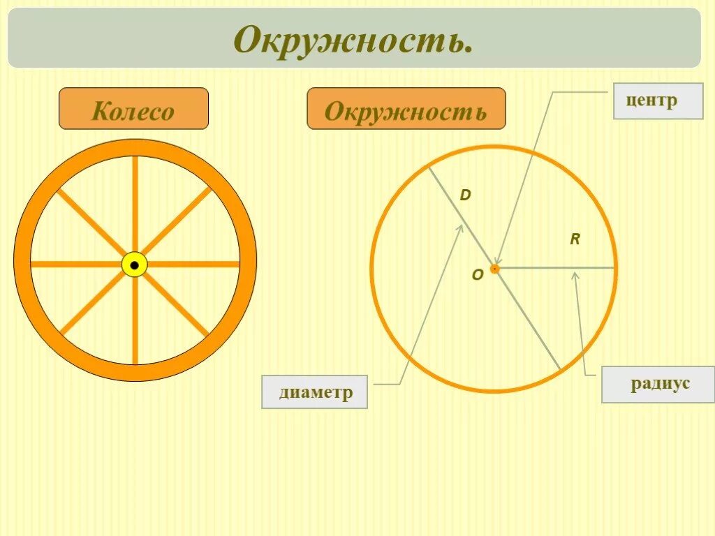Радиус математика 5. Окружность. Радиус и диаметр круга. Окружность колеса. Круги и окружности.