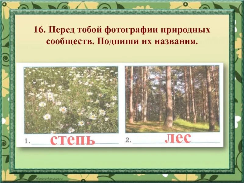 Природные сообщества 4 класс окружающий мир. Природное сообщество это 4 класс. Тест по теме природные сообщества. Характеристика природного сообщества.