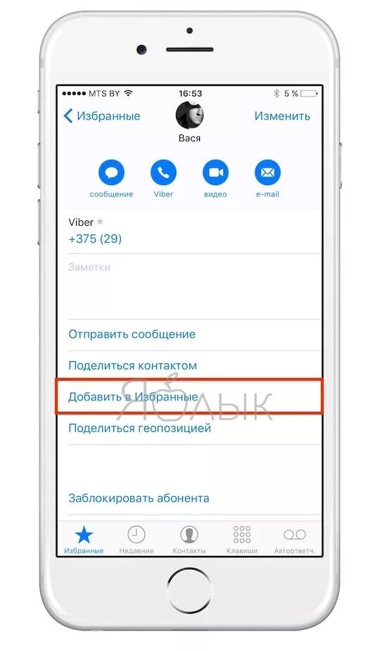 Как добавить сообщение в избранное. Избранные контакты в iphone. Как добавить в избранные контакты в айфоне. Избранное на айфоне. Добавить контакт на айфоне.