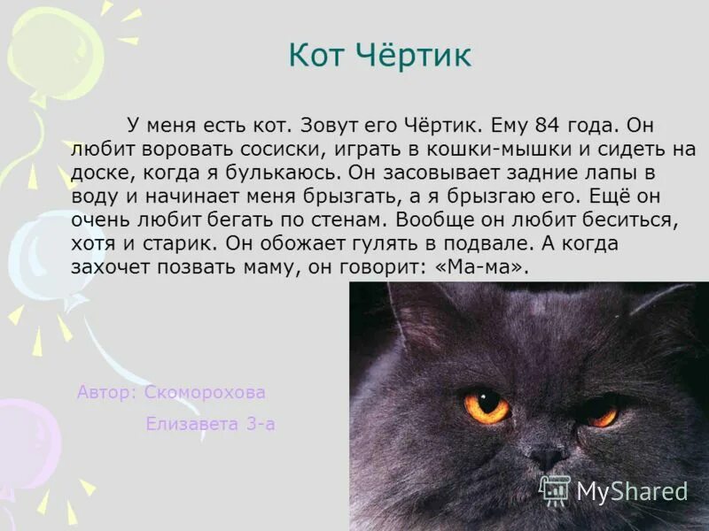 фотик-котик. у этого кота есть квест для меня мем. подобрали кота. продается кот прикол. у меня есть котик.