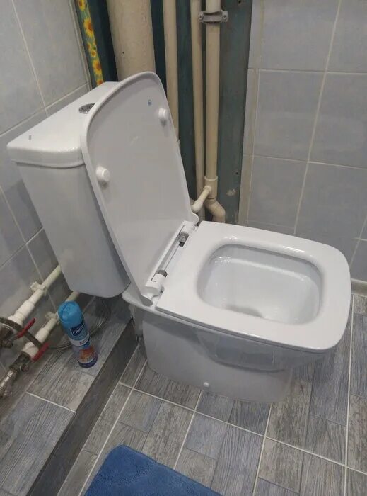 Унитазы santek безободковый. Унитазы santek безободковый