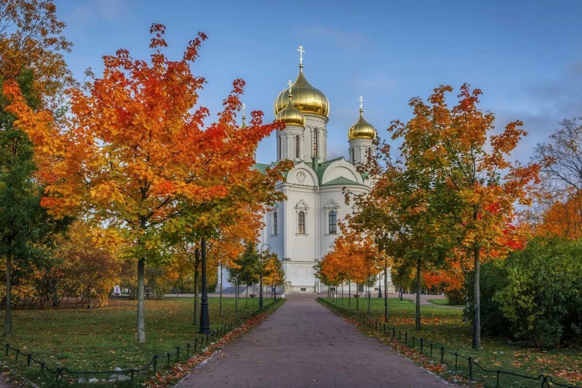 Царское село храм. Екатерининский собор в Царском селе. Екатерининский собор в Пушкине осень. Собор Святой великомученицы Екатерины в Пушкине. Екатерининский собор Царское село осенью.