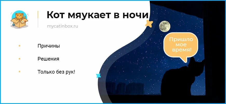 Почему мяукает часто. Почему кот мяукает по ночам. Почему кот мяукает без причины. Почему кот мяукает без причины ночью.