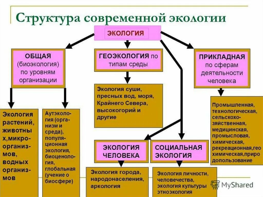 Современная структура экологии. Методы. Направления современной экологии. Структура современной экологии. Составить схему структура экологии. Сообщение на тему геоэколог