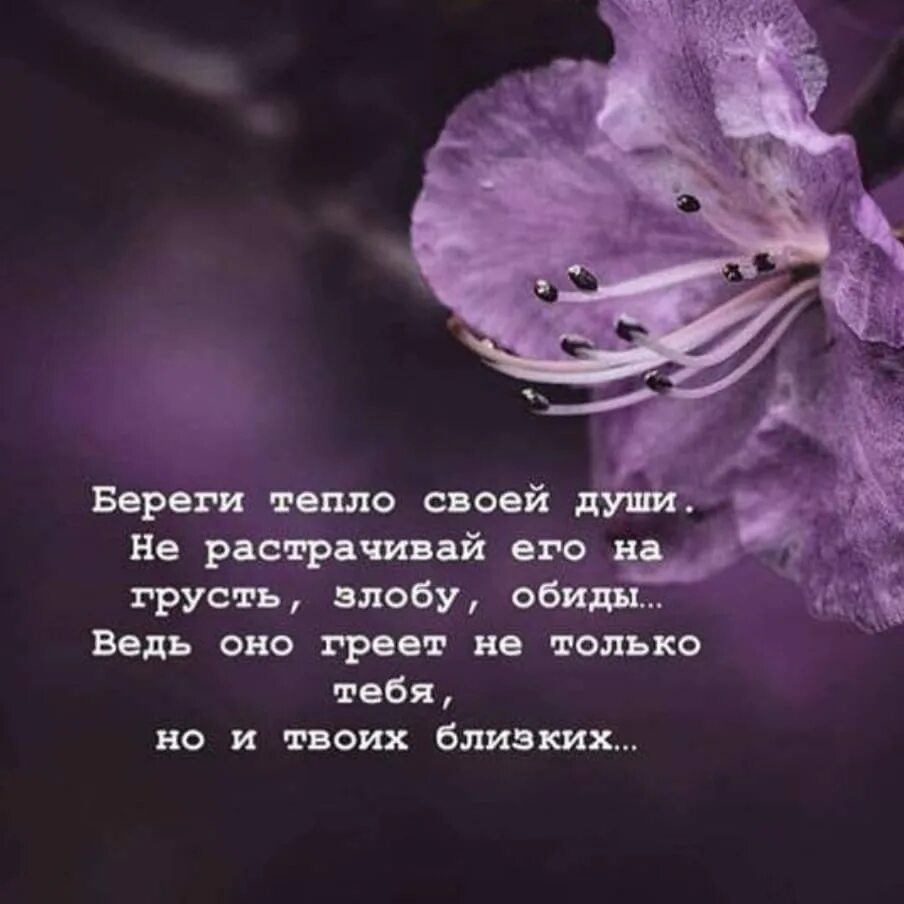 Тест каким предметом была бы твоя душа