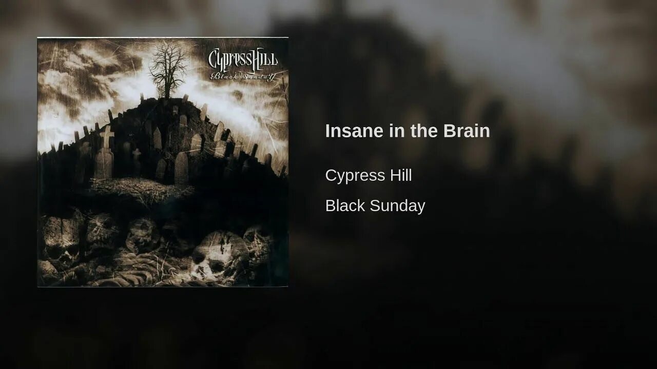 Insane in the brain hill. Сайпресс Хилл Брейн. Insane in the Brain. Cypress Hill Insane in the Brain. Cypress Hill Hits from the bong.