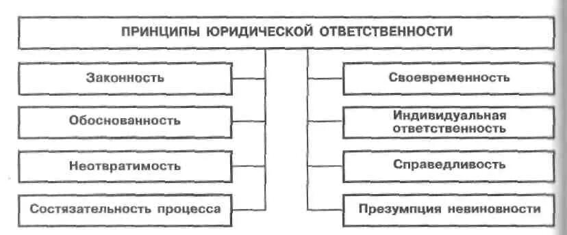 Принципы юр ответственности схема. Принципы юр ответственности таблица. Принципы юридической ответственности таблица. Принципы юридической ответственности схема.