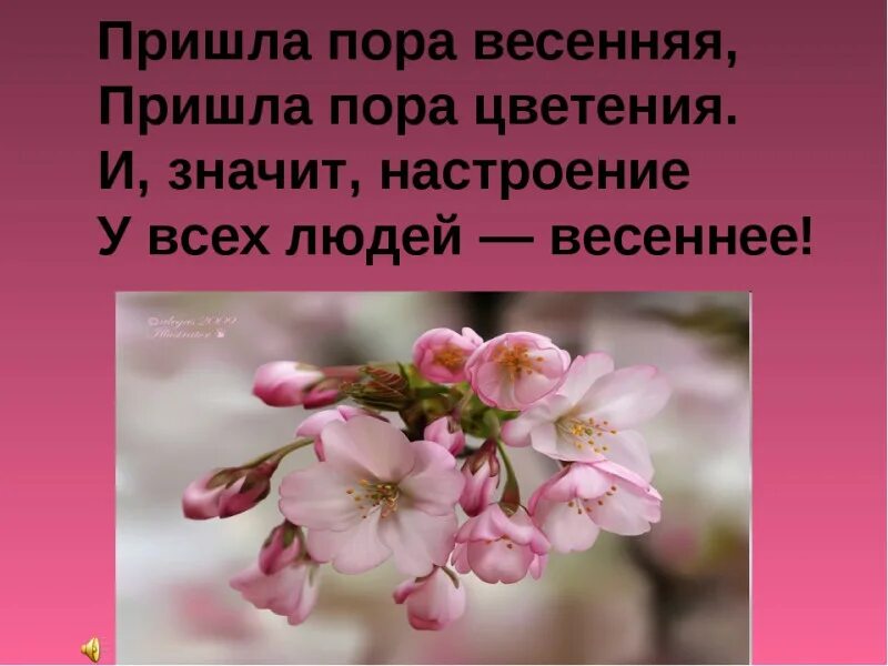 А когда придет пора цветения пусть они