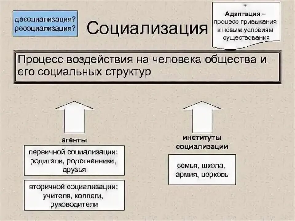 Социализация и десоциализация