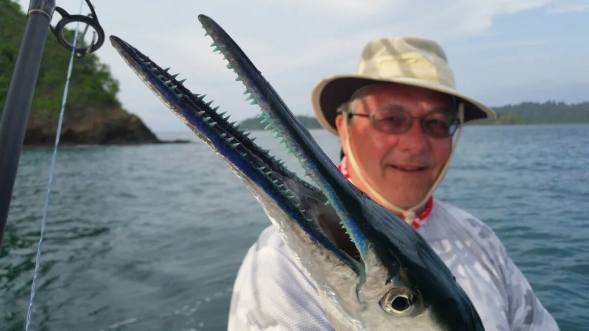 Рыба игла черное море сарган. Черноморская рыба сарган. Черноморская рыба игла сарган. Черноморская рыба сарган. Рыба игла черное море сарган.